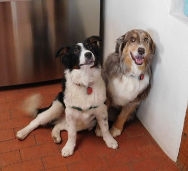 jack and gracie